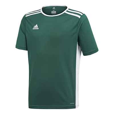 adidas Entrada 18 JSYY T-Shirt, Boys, Collegiate Green/White, 1516